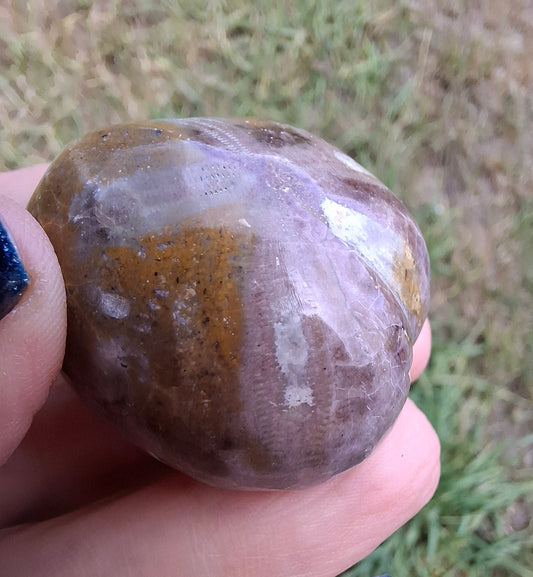 Polished Sea Urchin, Fossil (Ref: SU4)