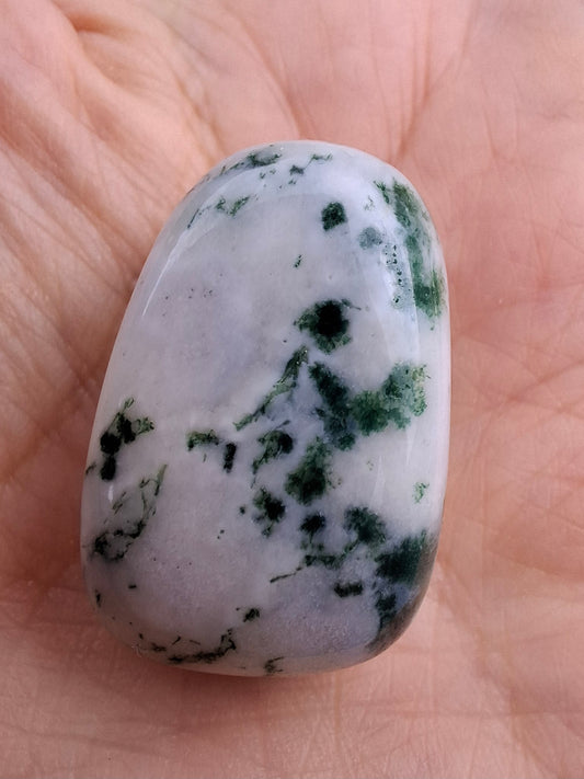 Tree Agate, Tumble Stone, Crystal (Ref: T1)