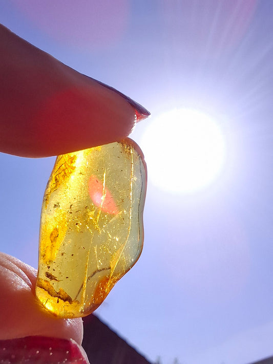 Baltic Amber, 1.23g, Fossil (Ref: A237)