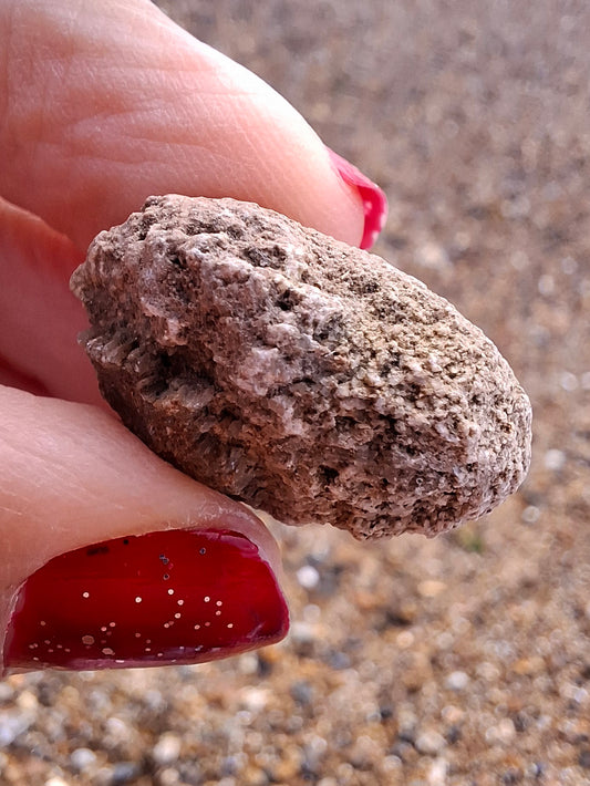 Sauropod Dinosaur Coprolite, 11.18g, Fossil (Ref: DP5)