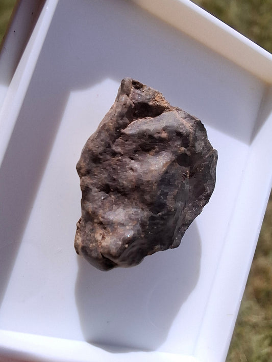 Chondrite, Meteorite (Ref: CM10)