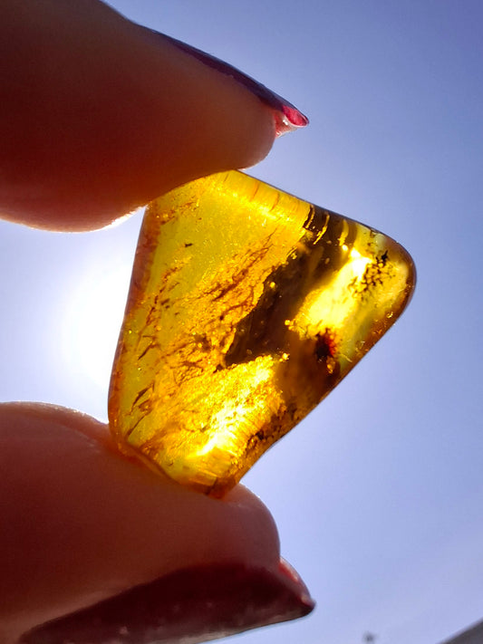 Baltic Amber, 1.61g, Fossil (Ref: A186)