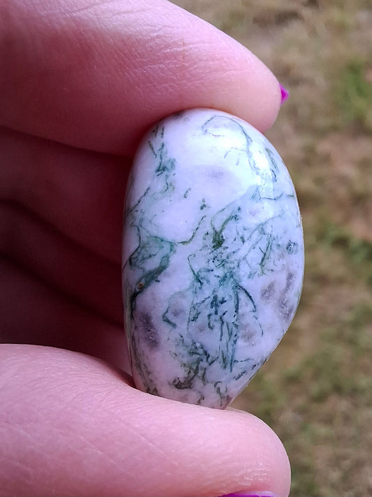 Tree Agate, Tumble Stone, Crystal (Ref: T3)