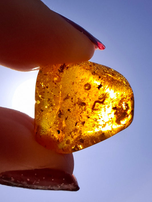 Baltic Amber, 1.59g, Fossil (Ref: A244)