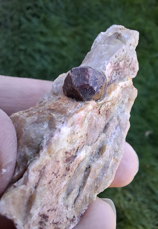 (Dig your own) Garnet in Matrix, Crystal (Ref: RG4)