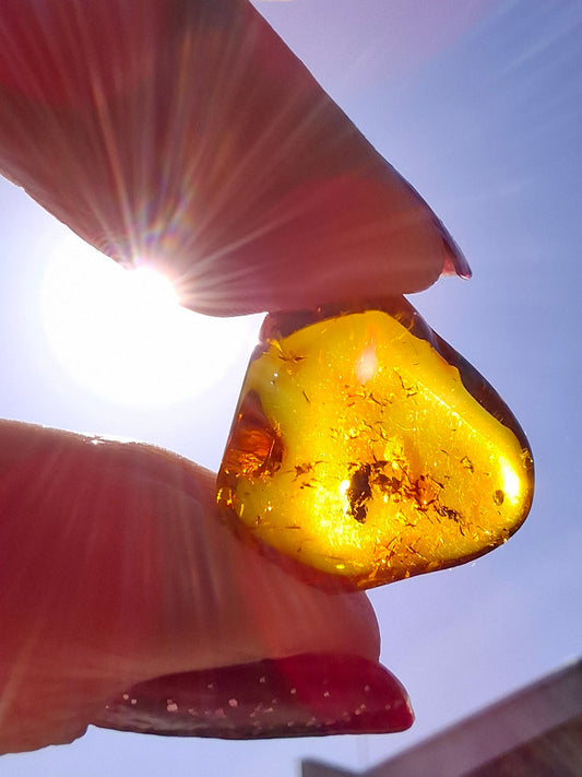 Baltic Amber, 0.97g, Fossil (Ref: A249)