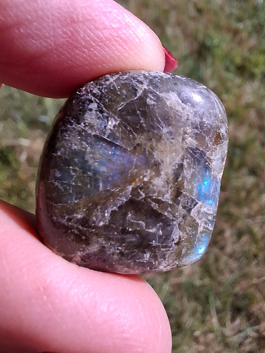 Labradorite, Tumble Stone, Crystal (Ref: T211)
