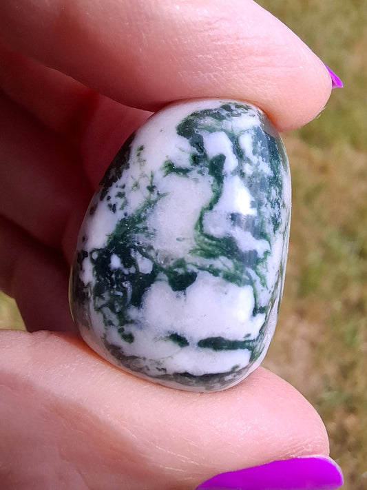 Tree Agate, Tumble Stone, Crystal (Ref: T5)