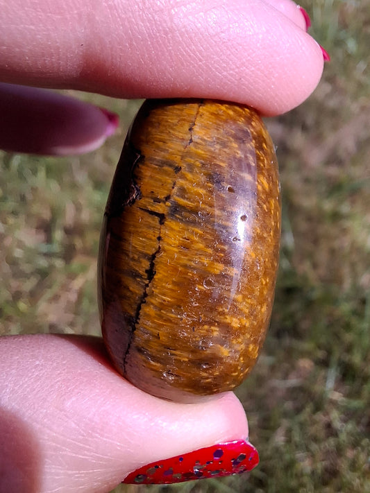 Tigers Eye, Tumble Stone, Crystal (Ref: T129)
