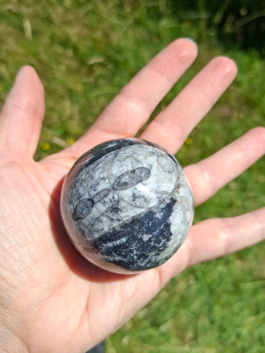 Orthoceras Sphere, Fossil (Ref: OS2)