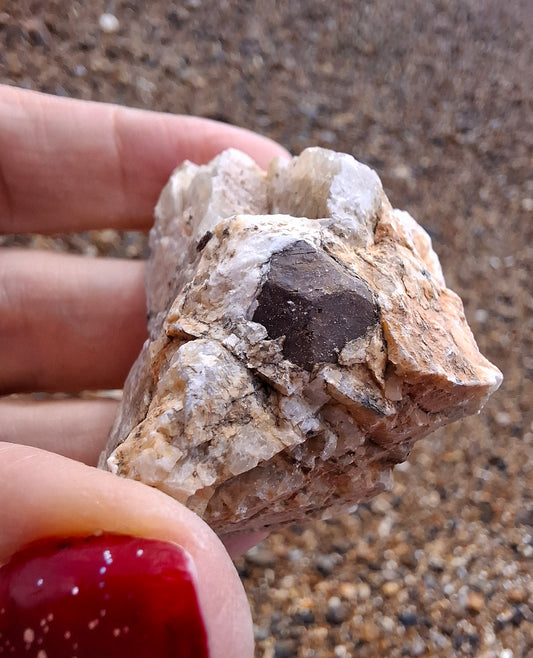 (Dig your own) Garnet in Matrix, Crystal (Ref: RG1)