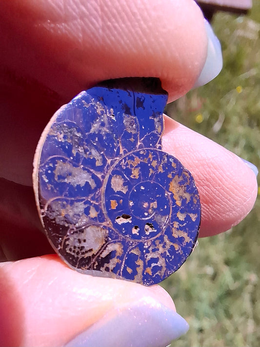 Small Haematite Ammonite HALF, 2.19g, Fossil (Ref: MA3)