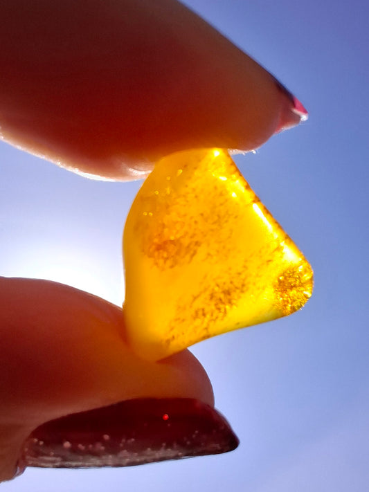 Baltic Amber, 1.00g, Fossil (Ref: A250)