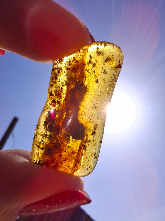 Baltic Amber, 1.84g, Fossil (Ref: A193)
