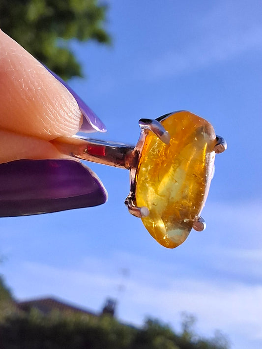 Baltic Amber Ring, size O, 925 Silver, Fossil (Ref: AR11)