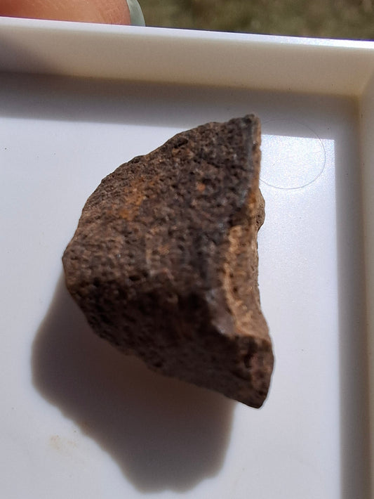 Chondrite, Meteorite (Ref: CM8)