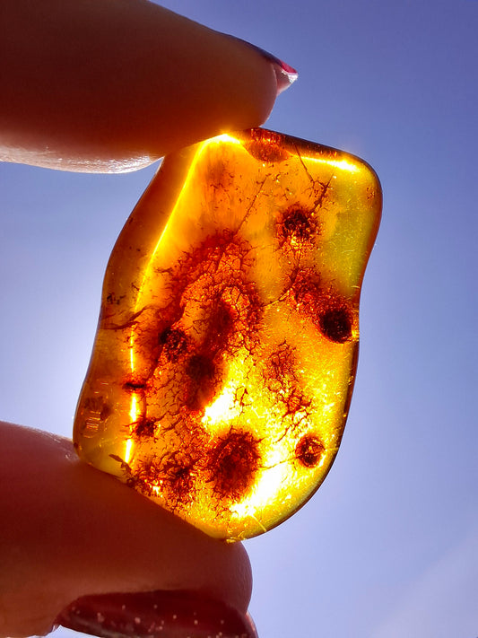 Baltic Amber, 4.50g, Fossil (Ref: A151)
