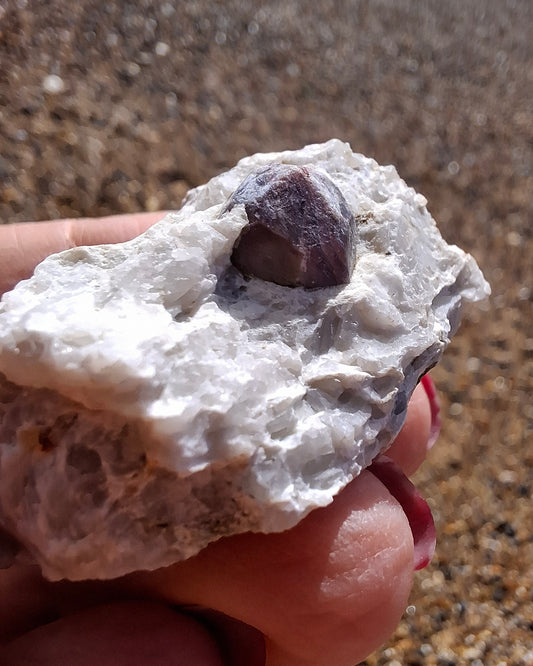 (Dig your own) Garnet in Matrix, Crystal (Ref: RG7)