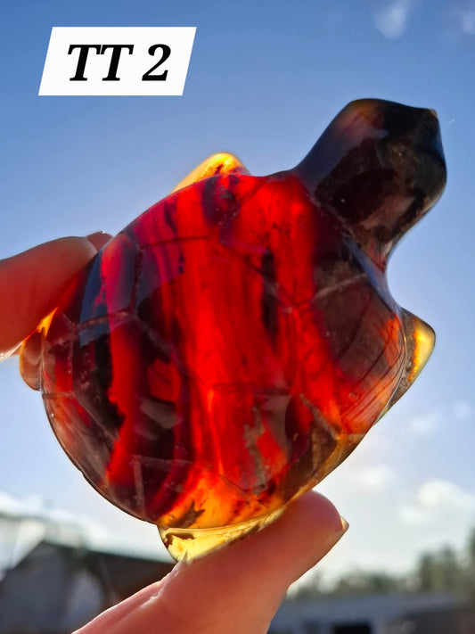 Red Amber Turtle, 56.87g, Carving, Fossil (Ref: TT2)