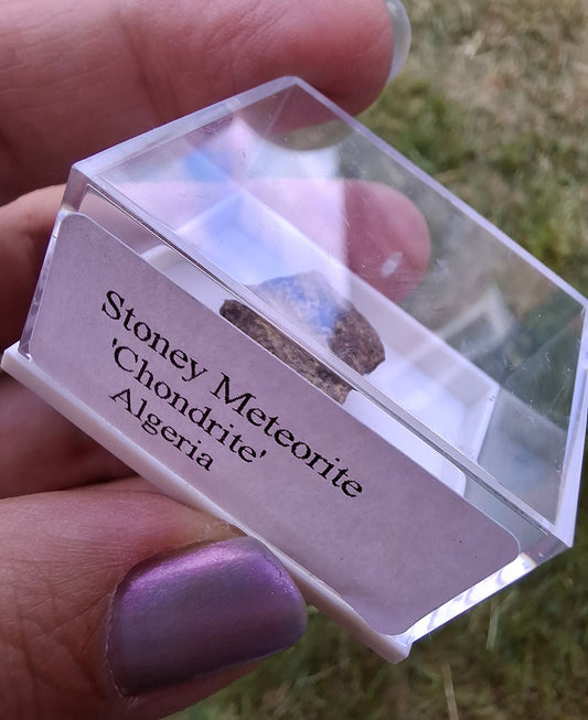 Chondrite, Meteorite (Ref: CM6)