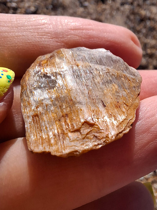 Diaspore (Zultanite), 8.80g, Crystal (Ref: DIS3)