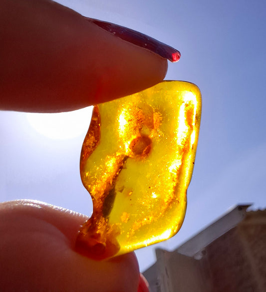 Baltic Amber, 1.40g, Fossil (Ref: A187)