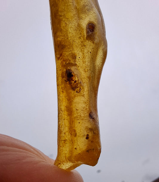 Copal Young Amber with INSECTS inside, 5.07g, Fossil (Ref: CA35)
