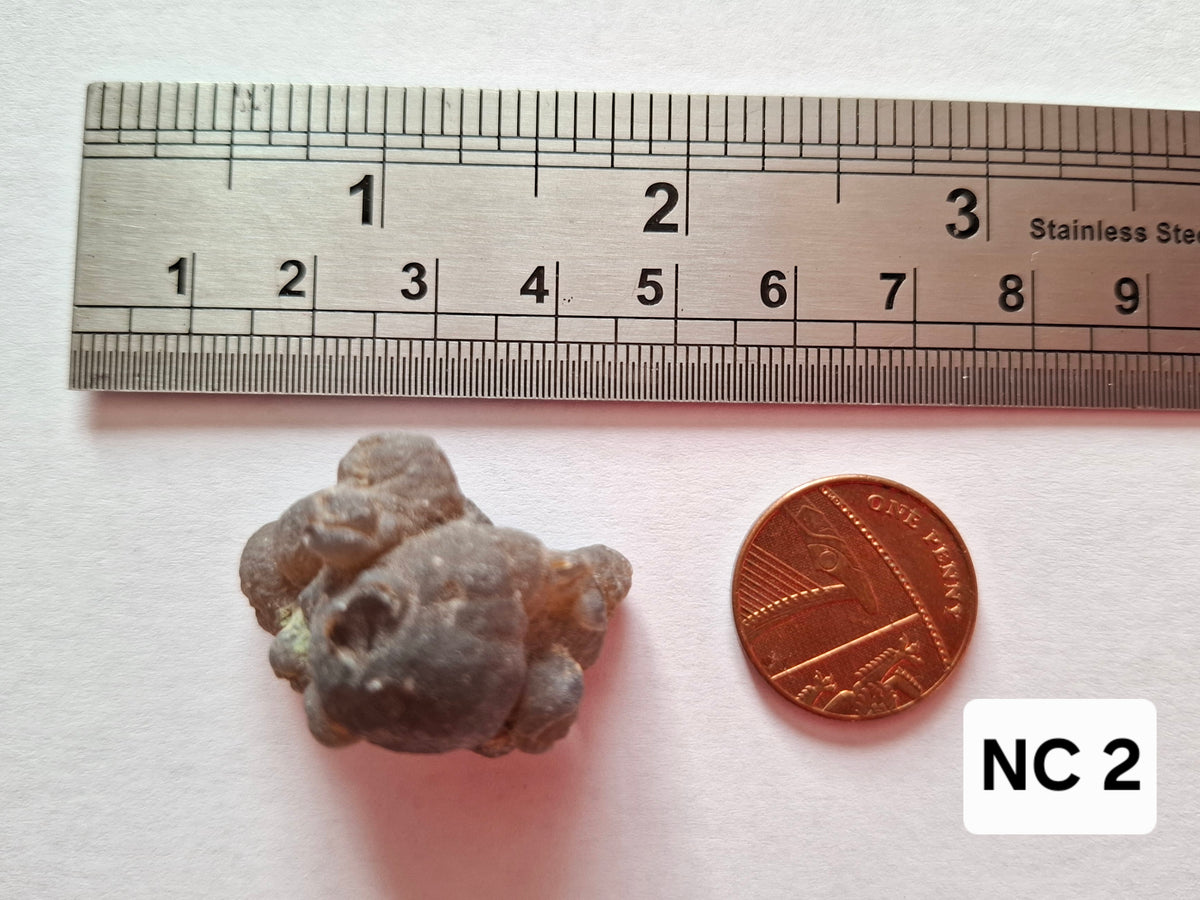 Nebula Chalcedony, 13.45g, Fossil (Ref: NC2)