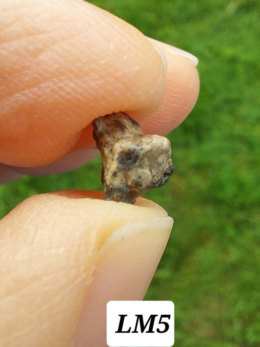 Lunar Meteorite, 0.32g, 'Moon Rock' (Ref: LM5)