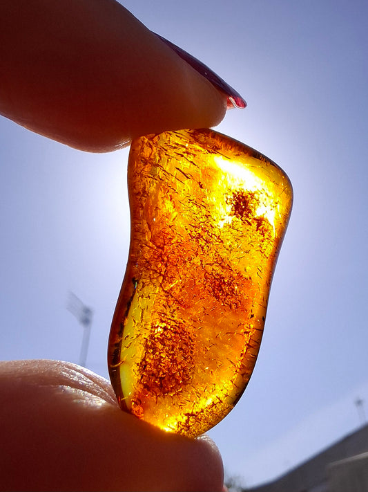 Baltic Amber, 1.94g, Fossil (Ref: A49)