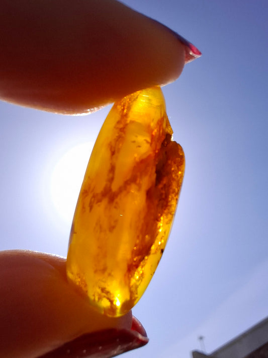 Baltic Amber, 1.68g, Fossil (Ref: A233)