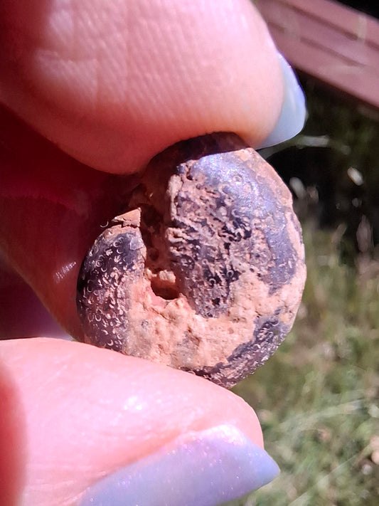 Small Haematite Ammonite HALF, 1.36g, Fossil (Ref: MA12)