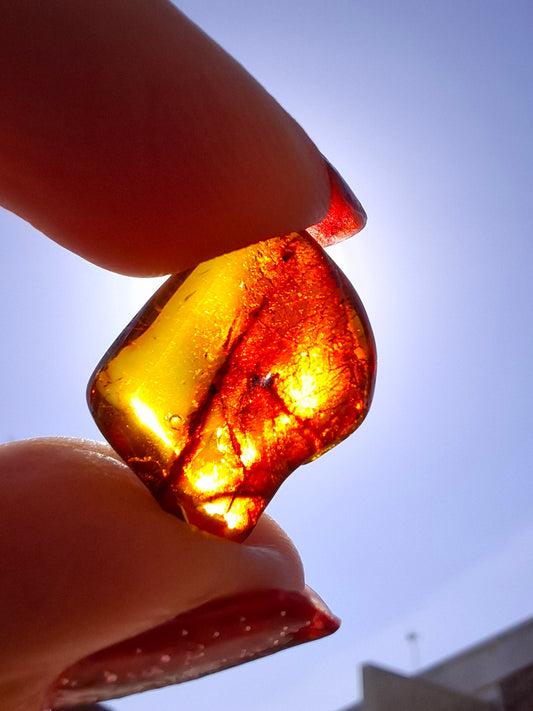 Baltic Amber, 0.94g, Fossil (Ref: A256)