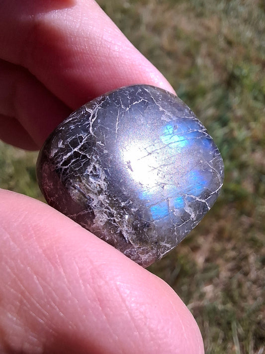 Labradorite, Tumble Stone, Crystal (Ref: T214)