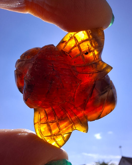 Red Amber Honey Bee Carving, 7.47g, Fossil (Ref: Bee37)