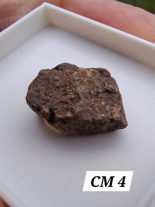 Chrondrite, Meteorite (Ref: CM4)