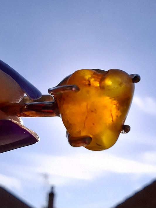 Baltic Amber Ring, size large Y, 925 Silver, Fossil (Ref: AR39)