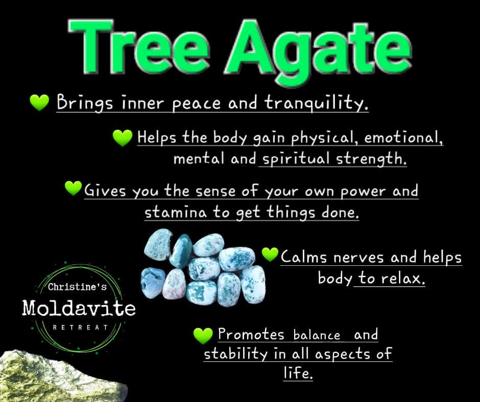 Tree Agate, Tumble Stone, Crystal (Ref: T1)