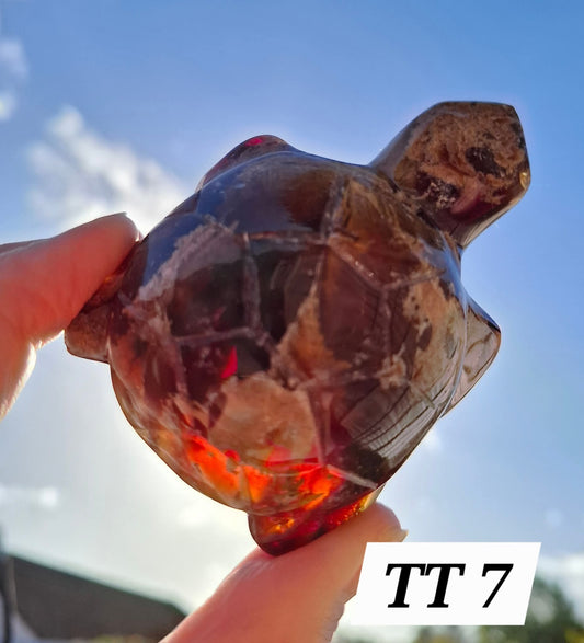 Red Amber Turtle, 56.87g, Carving, Fossil (Ref:TT7)