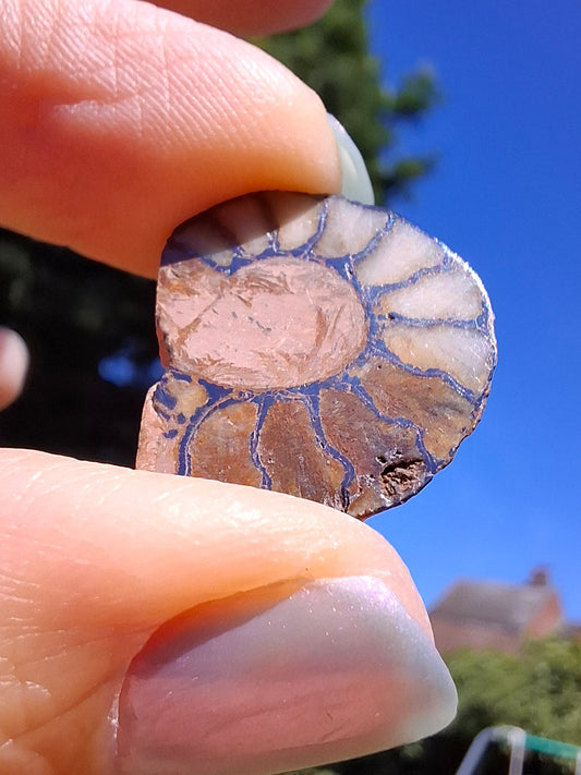 Small Haematite Ammonite HALF, 1.66g, Fossil (Ref: MA2)