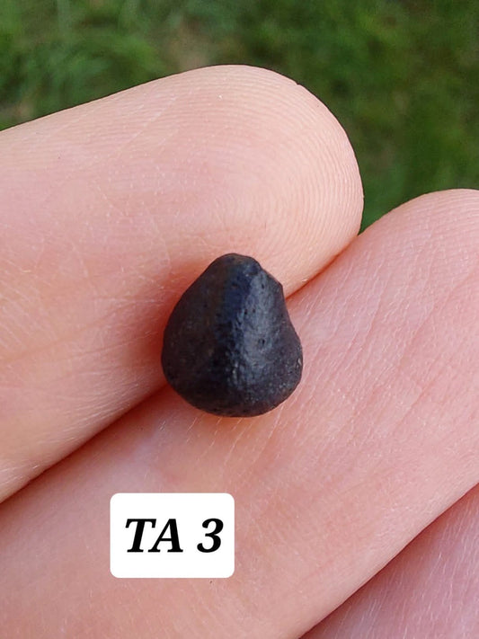 Atacamite, 0.37g, Tektite (Ref: TA3)