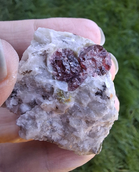 (Dig your own) Garnet in Matrix, Crystal (Ref: RG5)