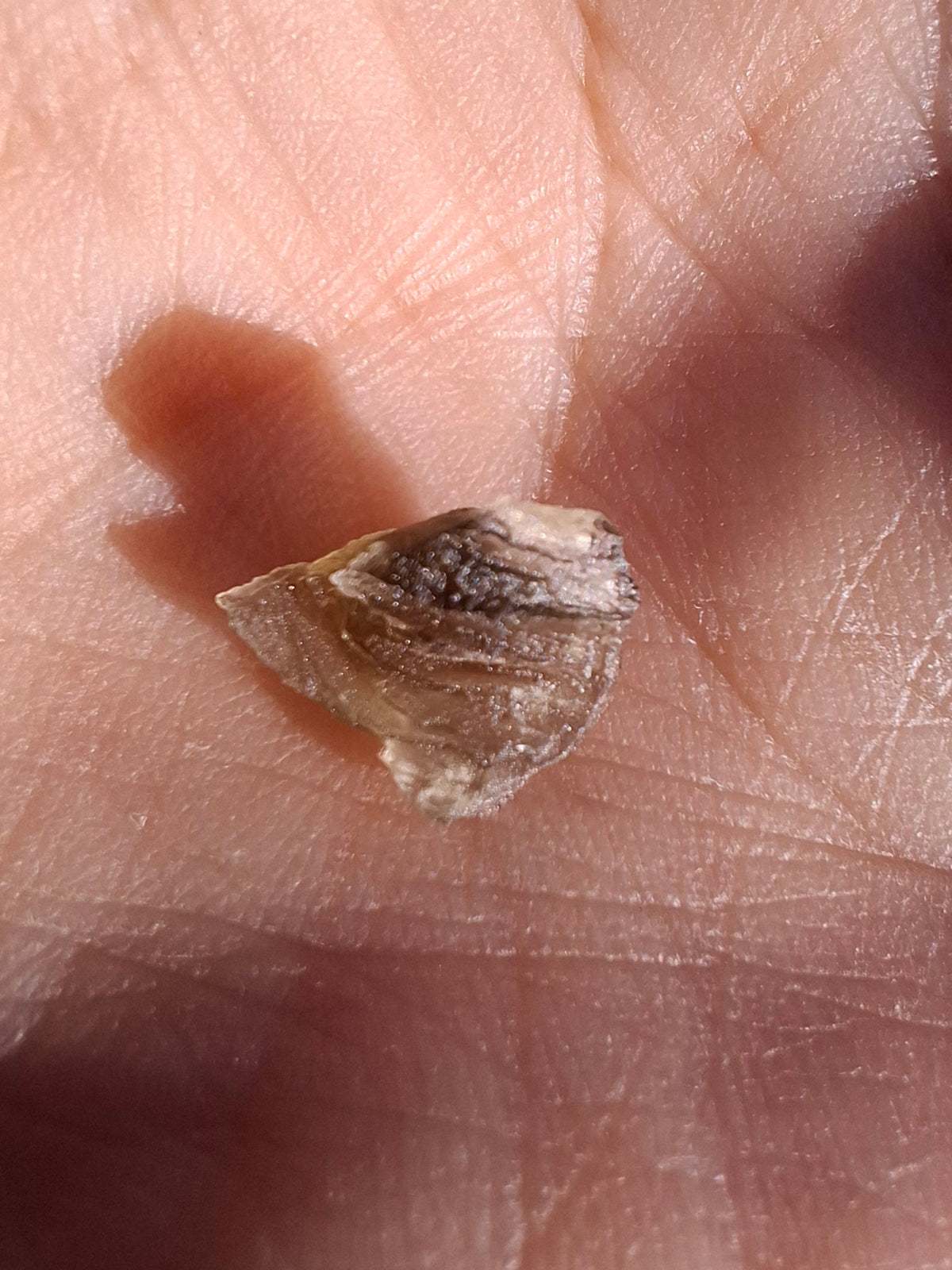 Moldavite small Piece, 0.22g, Tektite (Ref: 1522)