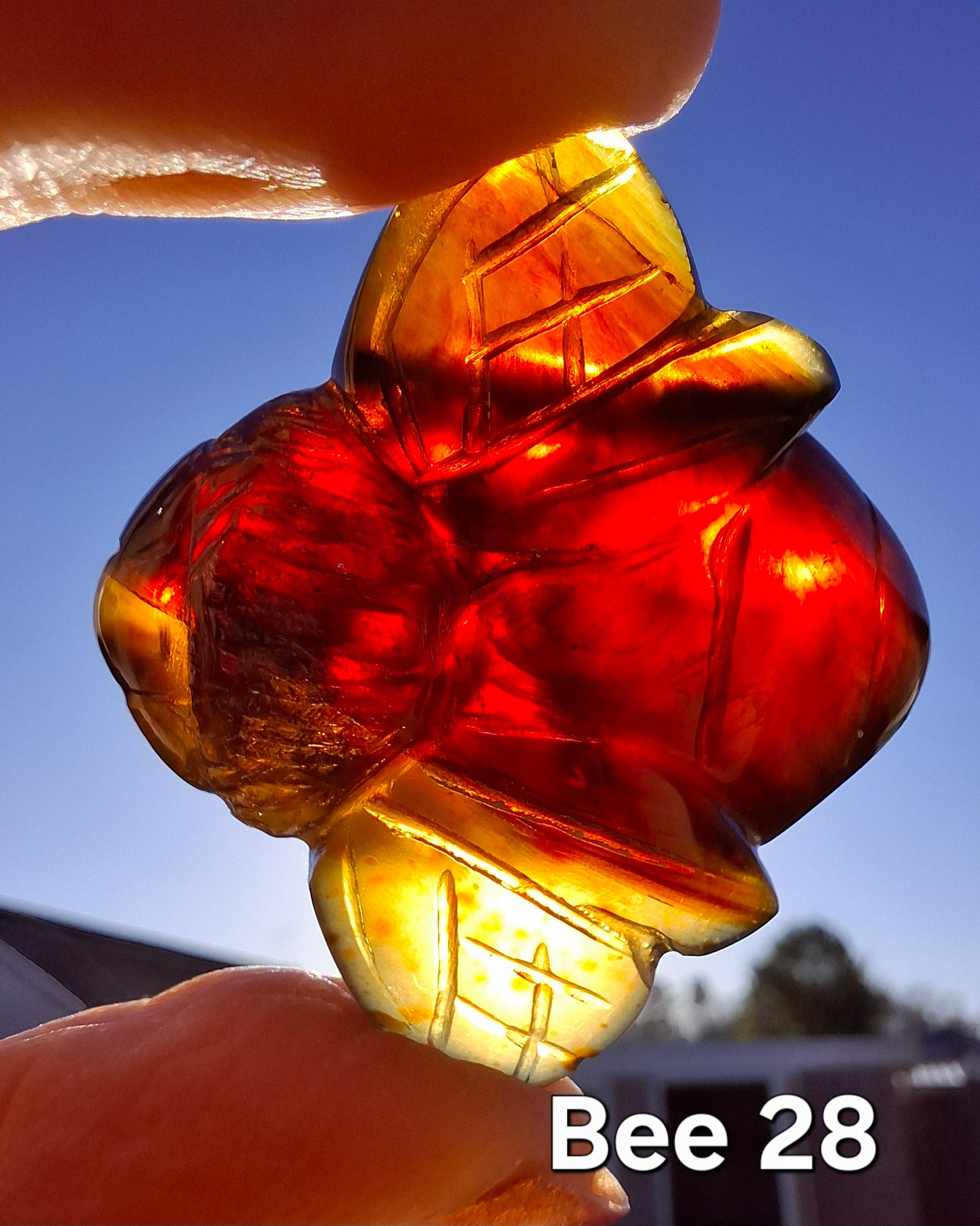 Red Amber Honey Bee Carving, 9.63g, Fossil (Ref: Bee28)