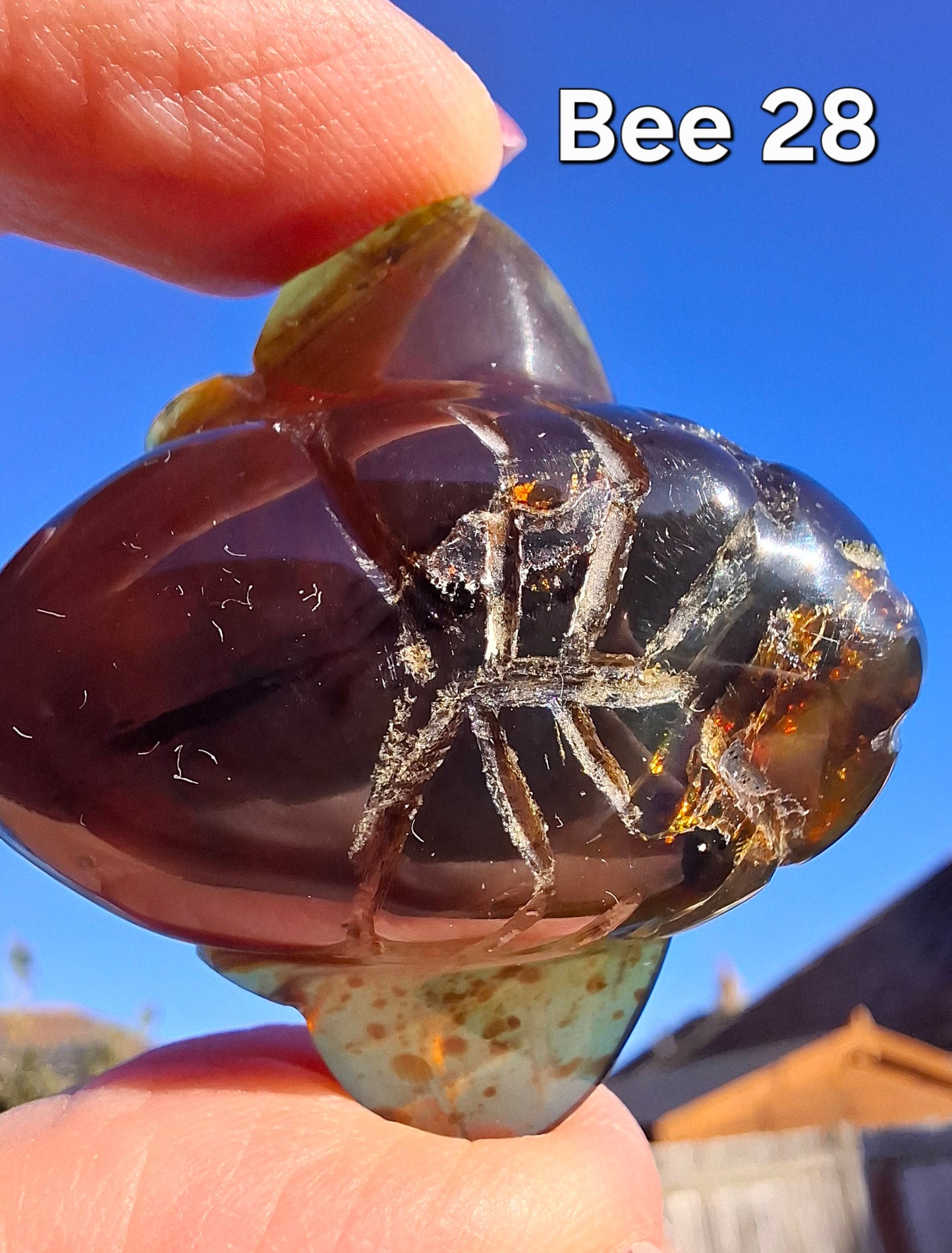 Red Amber Honey Bee Carving, 9.63g, Fossil (Ref: Bee28)