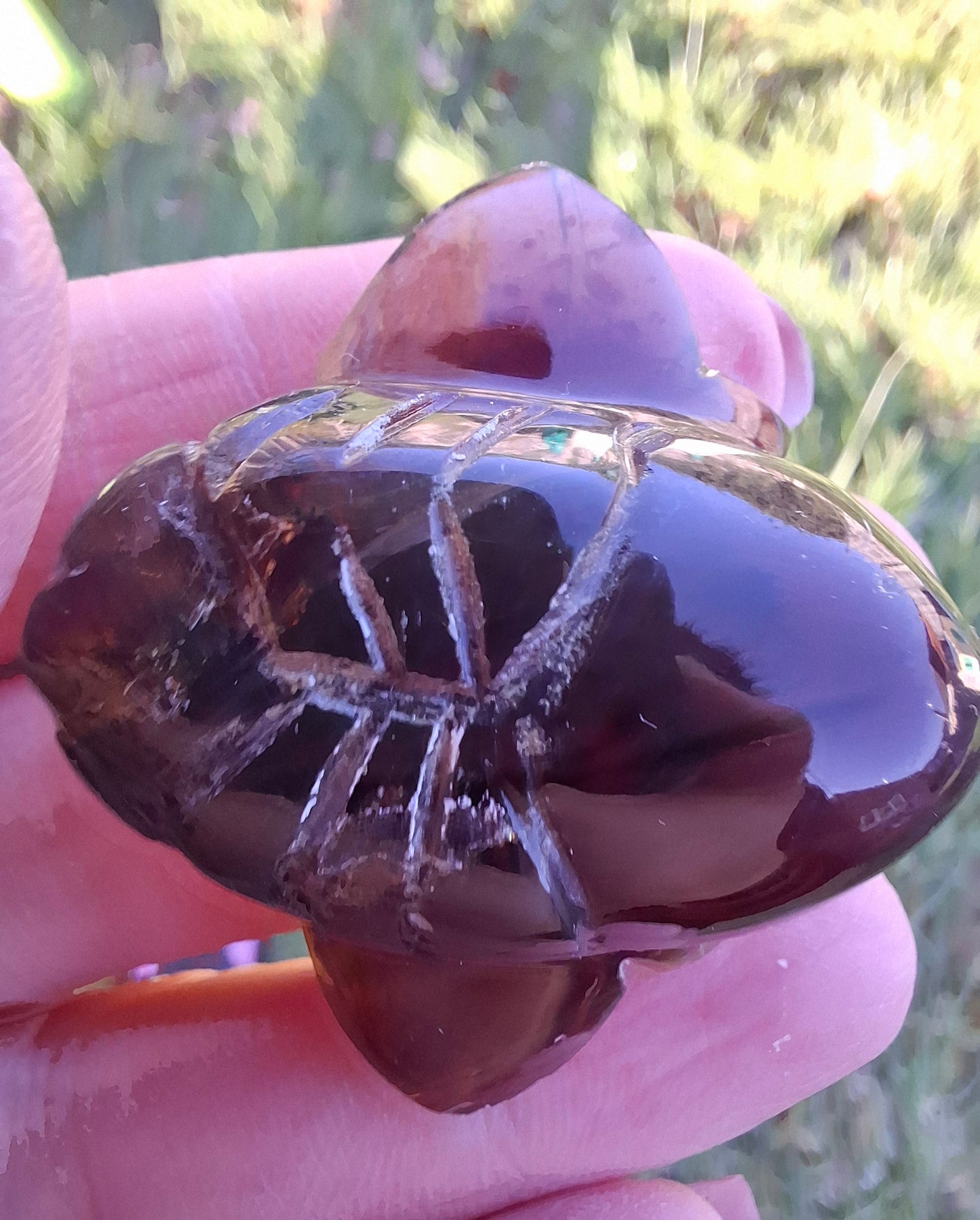Red Amber Honey Bee Carving, 9.63g, Fossil (Ref: Bee28)