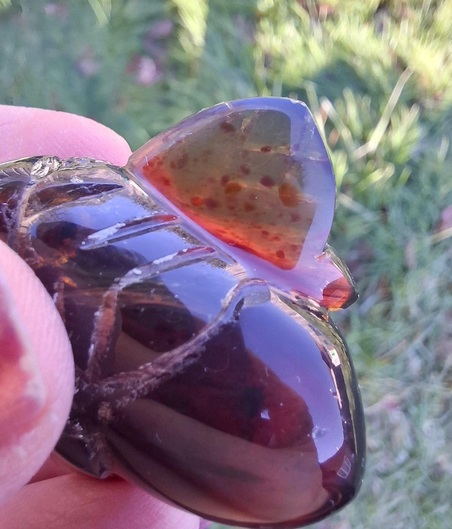 Red Amber Honey Bee Carving, 9.63g, Fossil (Ref: Bee28)
