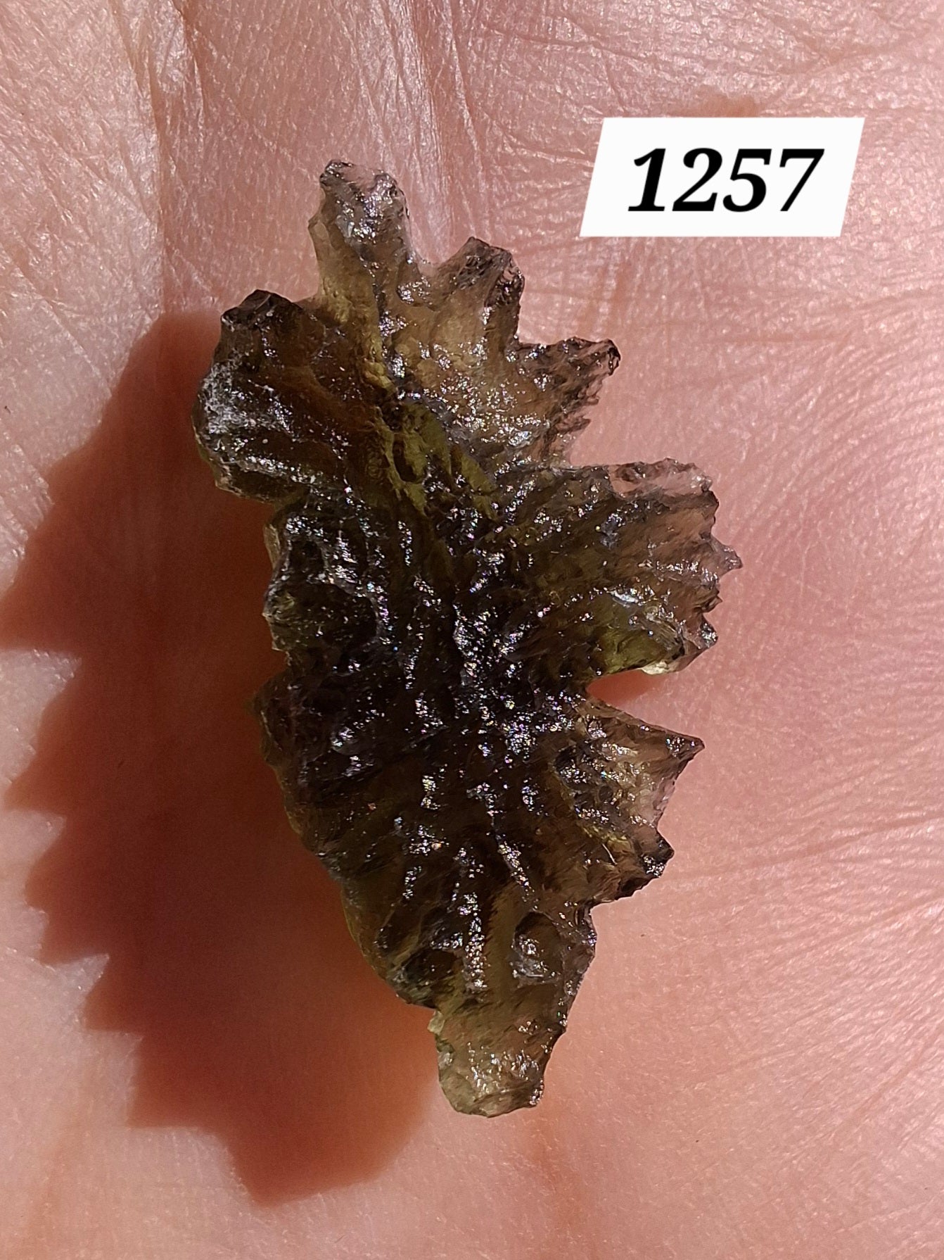 Moldavite Piece, JEZKOVNA BESEDNICE, 1.89g, Tektite (Ref: 1257)