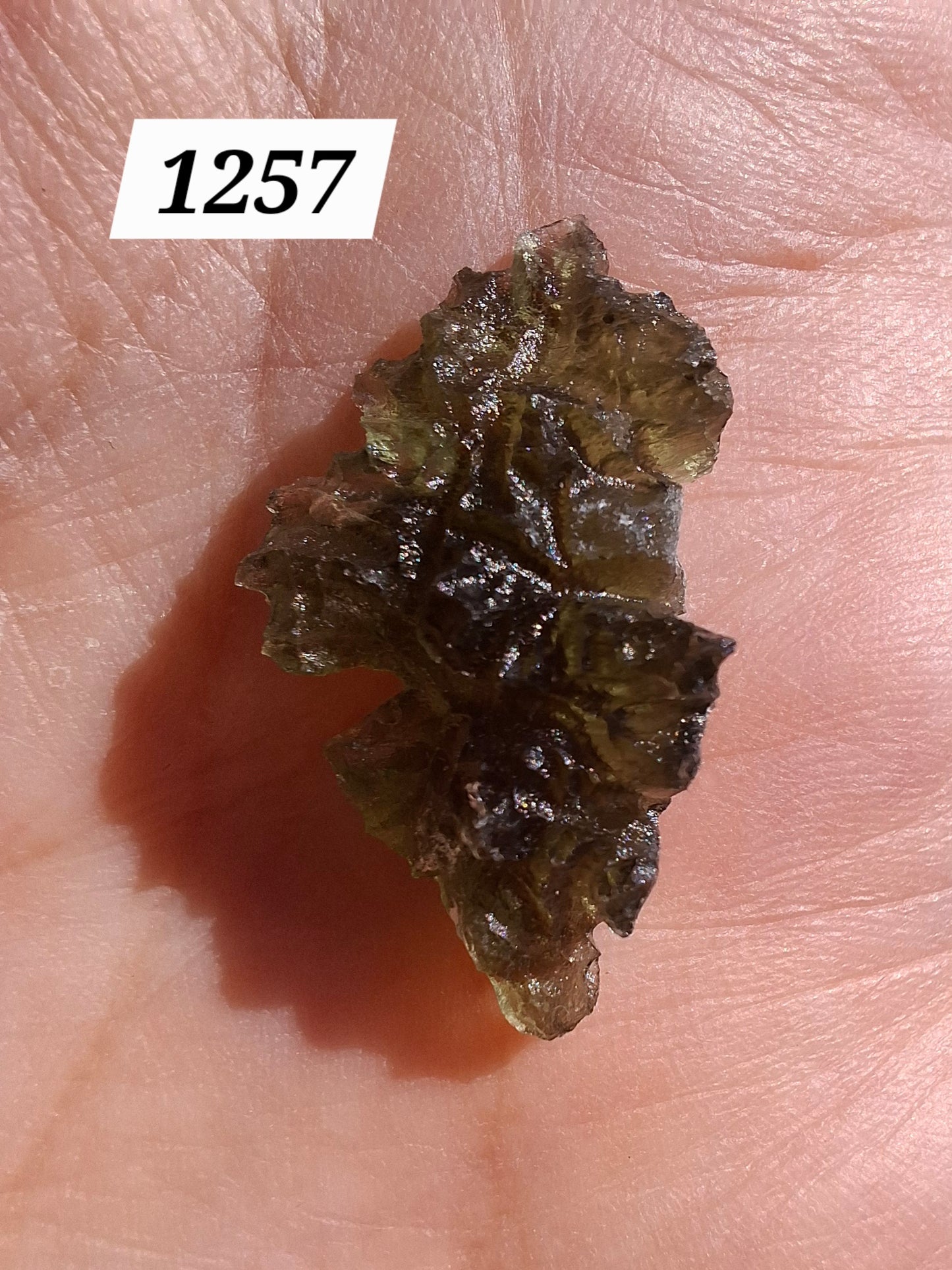 Moldavite Piece, JEZKOVNA BESEDNICE, 1.89g, Tektite (Ref: 1257)
