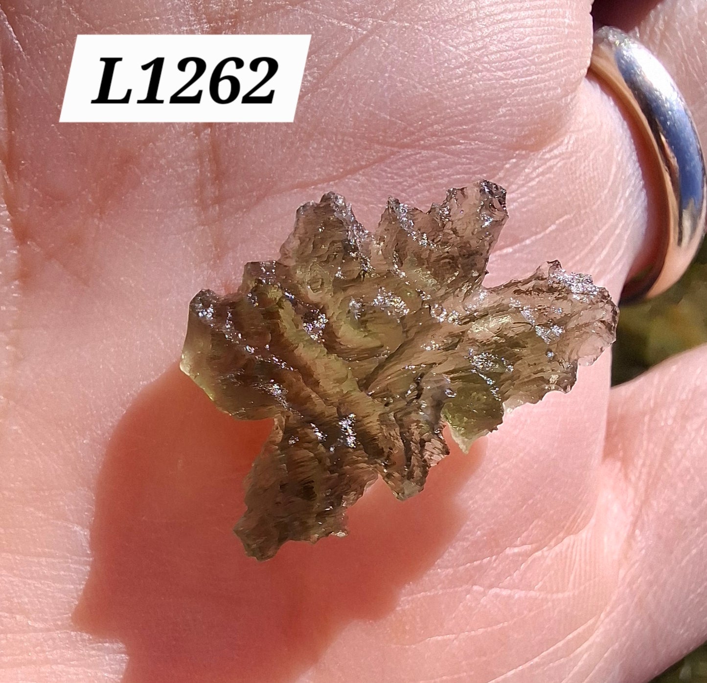 Moldavite Piece, JEZKOVNA BESEDNICE, 1.51g, Tektite (Ref: 1262)